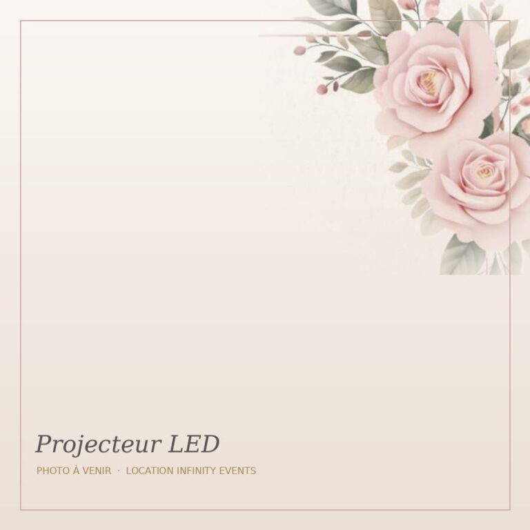 Projecteur LED ambiance (par 4)